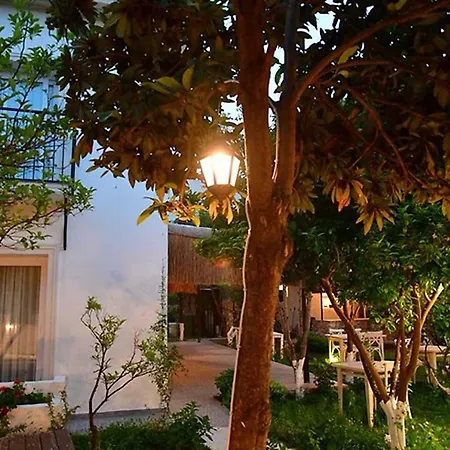 Costa Marina 2* Αλικαρνασσός